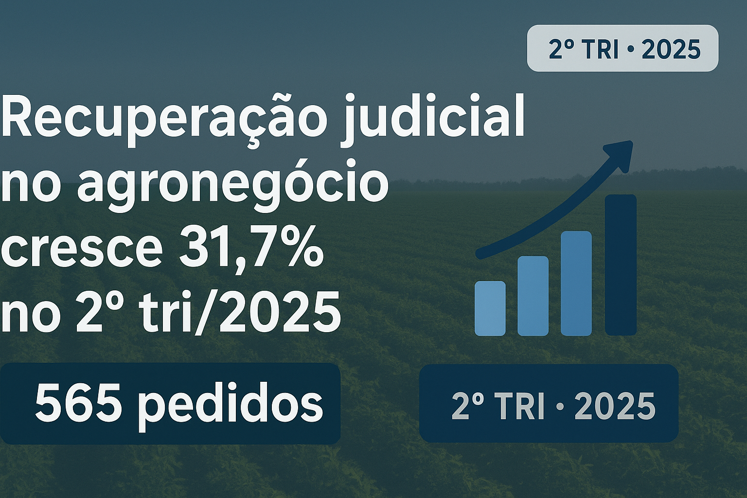Recuperação Judicial: solicitações crescem quase 32% no agro no 2º trimestre de 2025