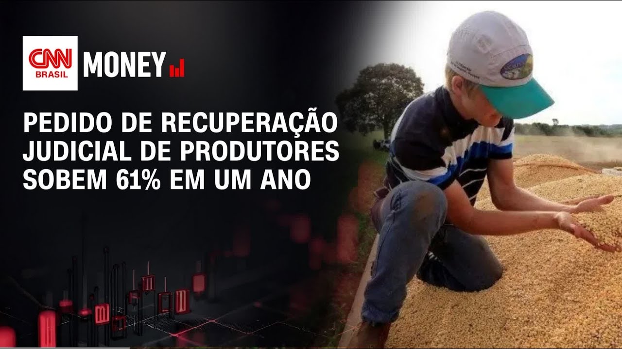 Pedidos de Recuperação Judicial no Agronegócio Crescem em 2024
